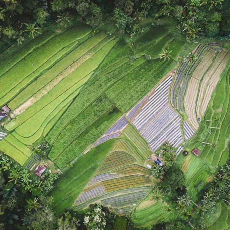 Family terraces and cafés for calm evenings in Madrid